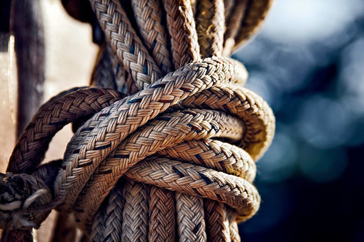 The Ties That Bind